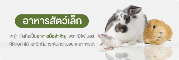 อาหารสัตว์เล็ก